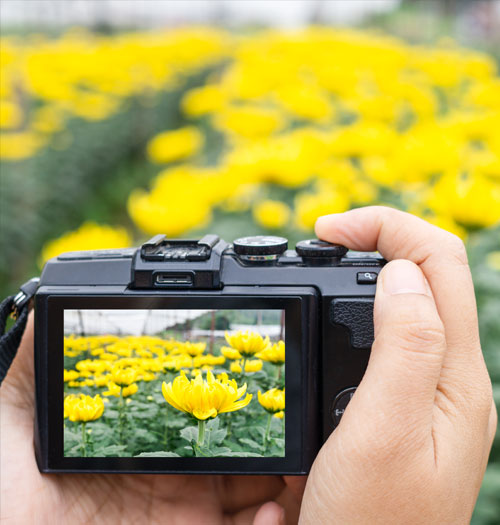 Curso de fotografía profesional